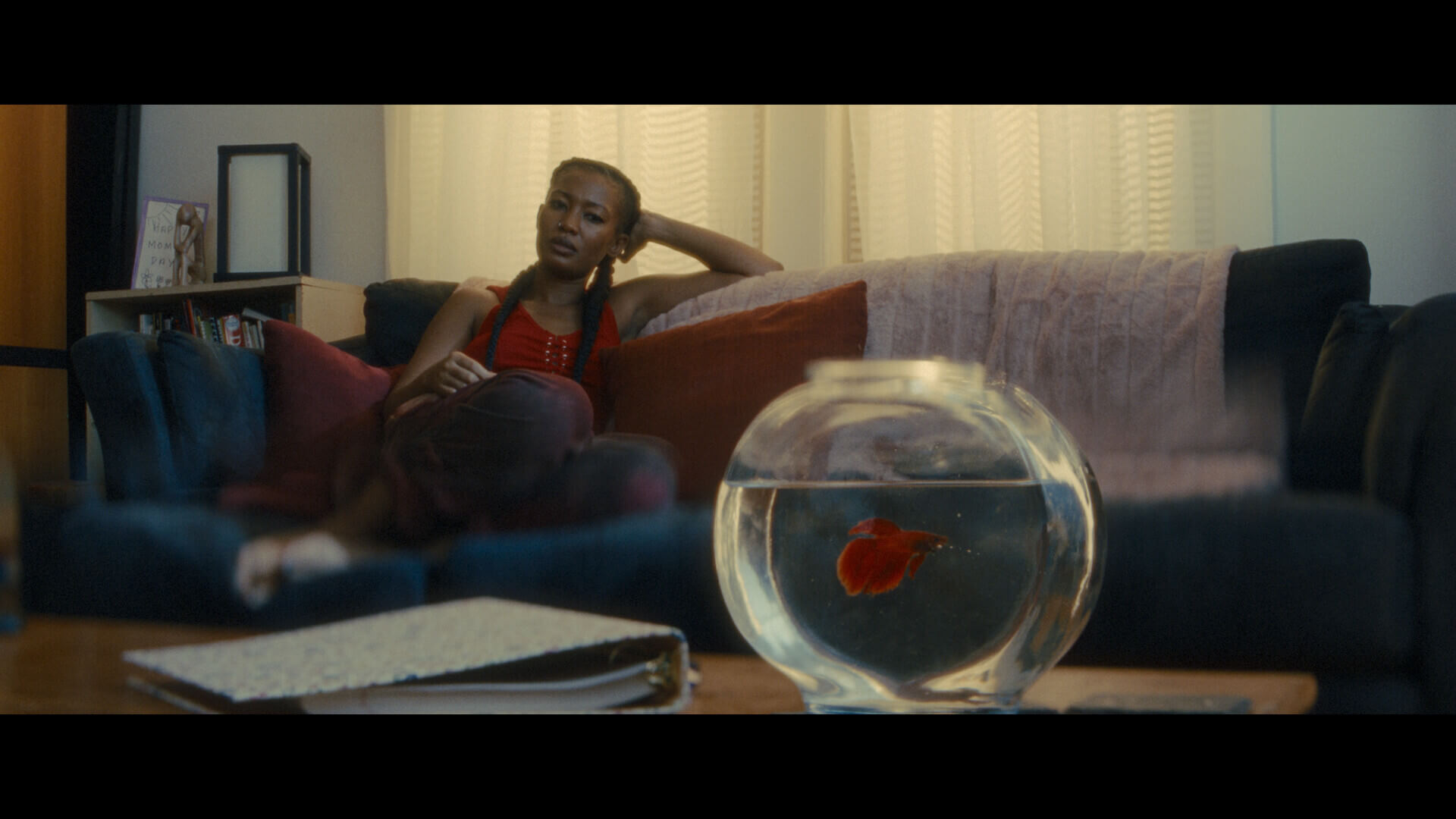BETTA FISH