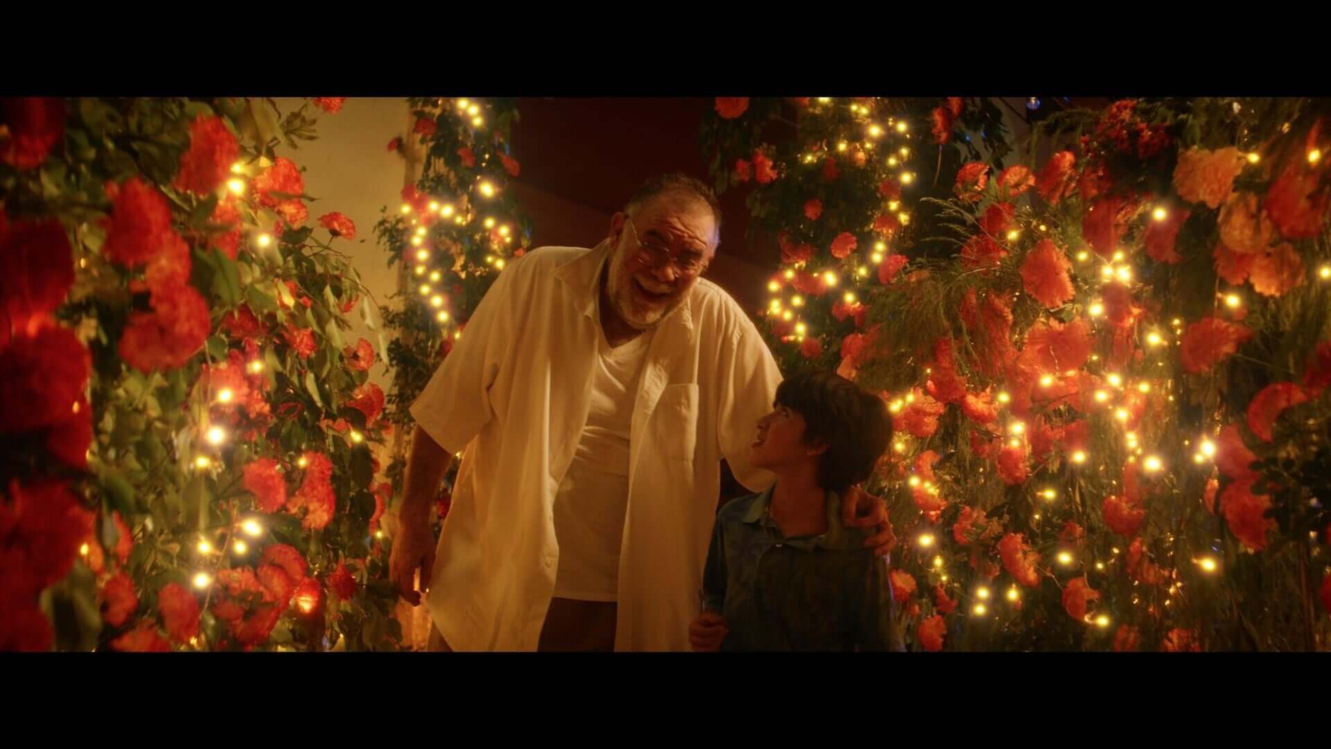 IN THE STILL OF THE NIGHT